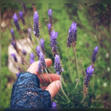 Alternative Therapies algarve portugal lagos banbury oxfordshire buckinghamshire